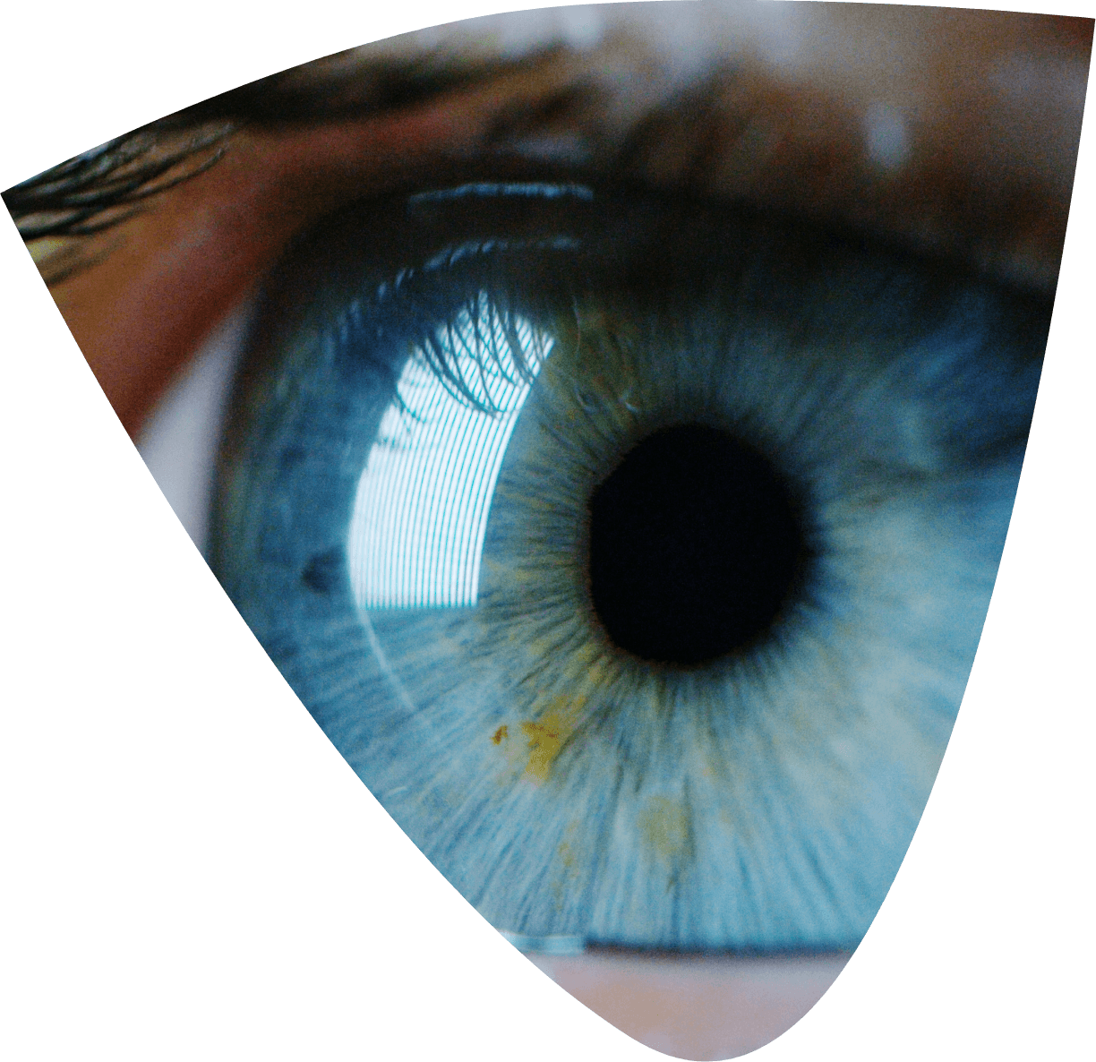 eye 